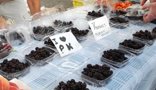 Shahtoot ~ Persian Red Mulberries