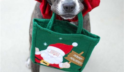 Merry Christmas!