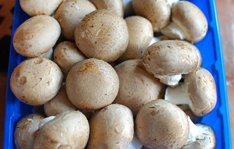 How To Clean Mushrooms