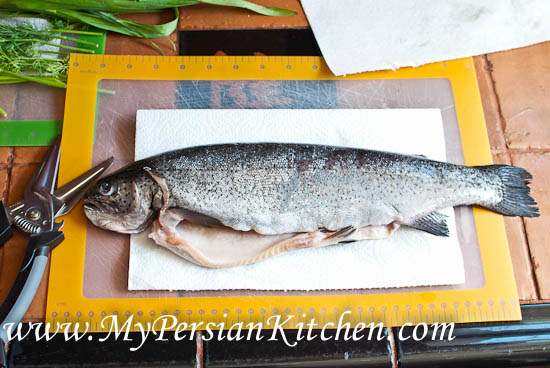 Trout with Narenj-2